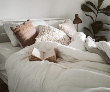 Organic Bed sheets 